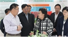 市委副書記、代市長艾麗華來我公司考察、調(diào)研