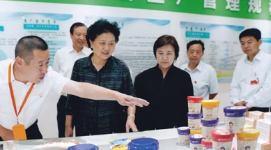 原中共中央政治局委員、國(guó)務(wù)院副總理劉延?xùn)|視察我公司